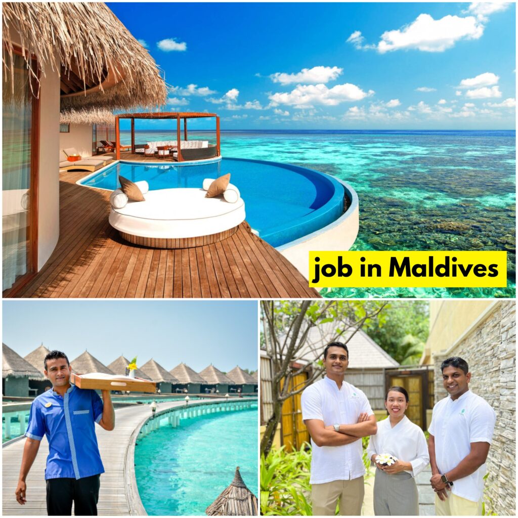 job in Maldives