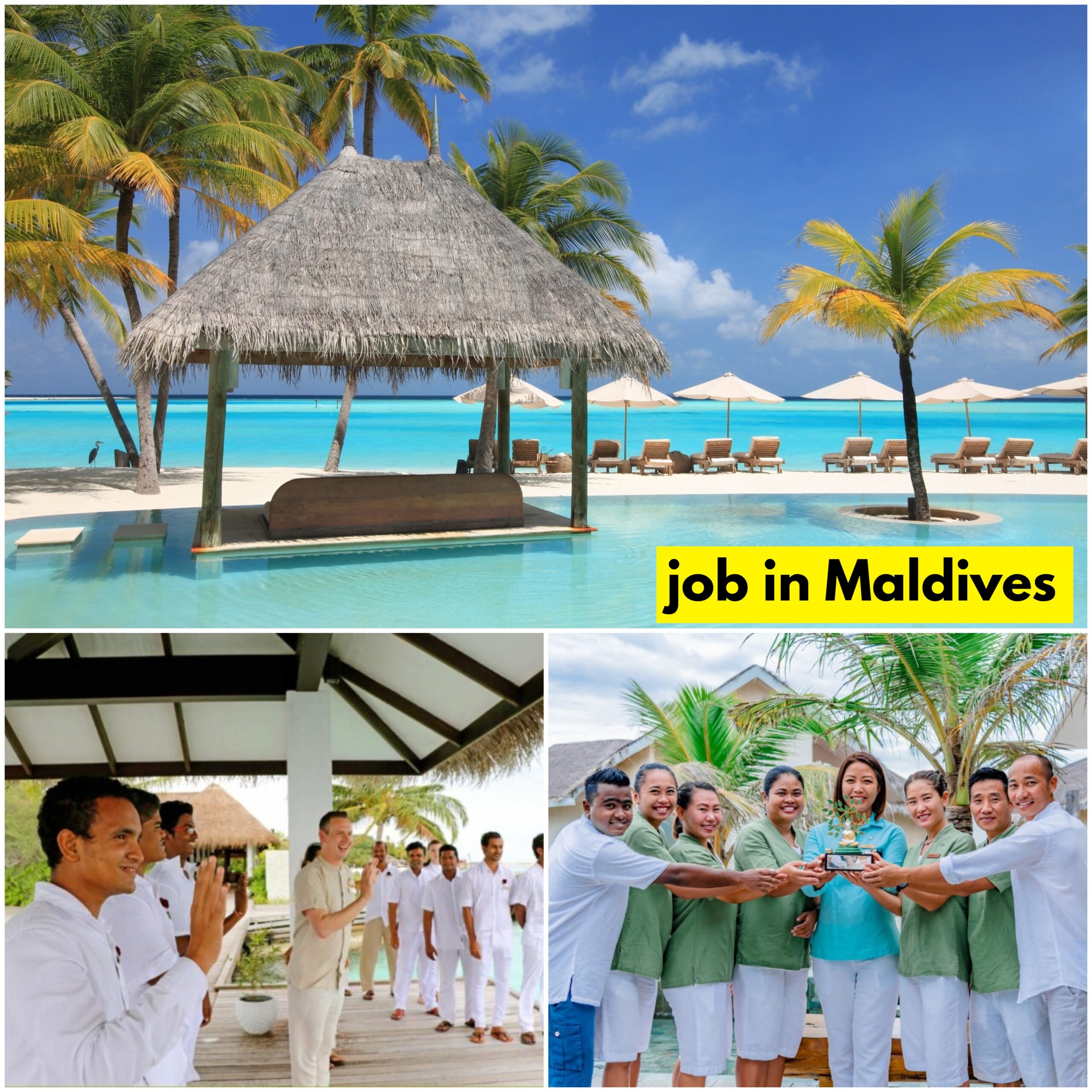 job in Maldives