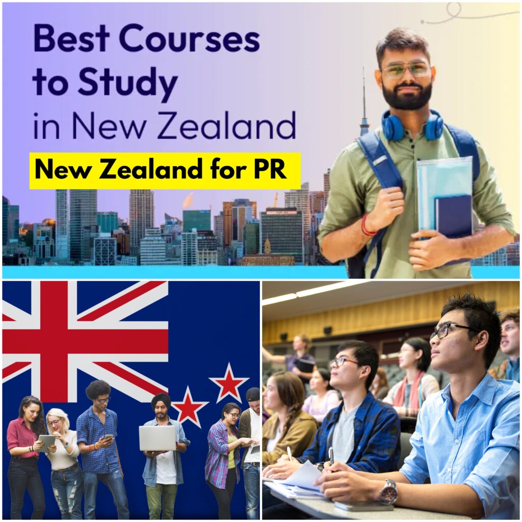 which-course-is-best-in-new-zealand-for-pr