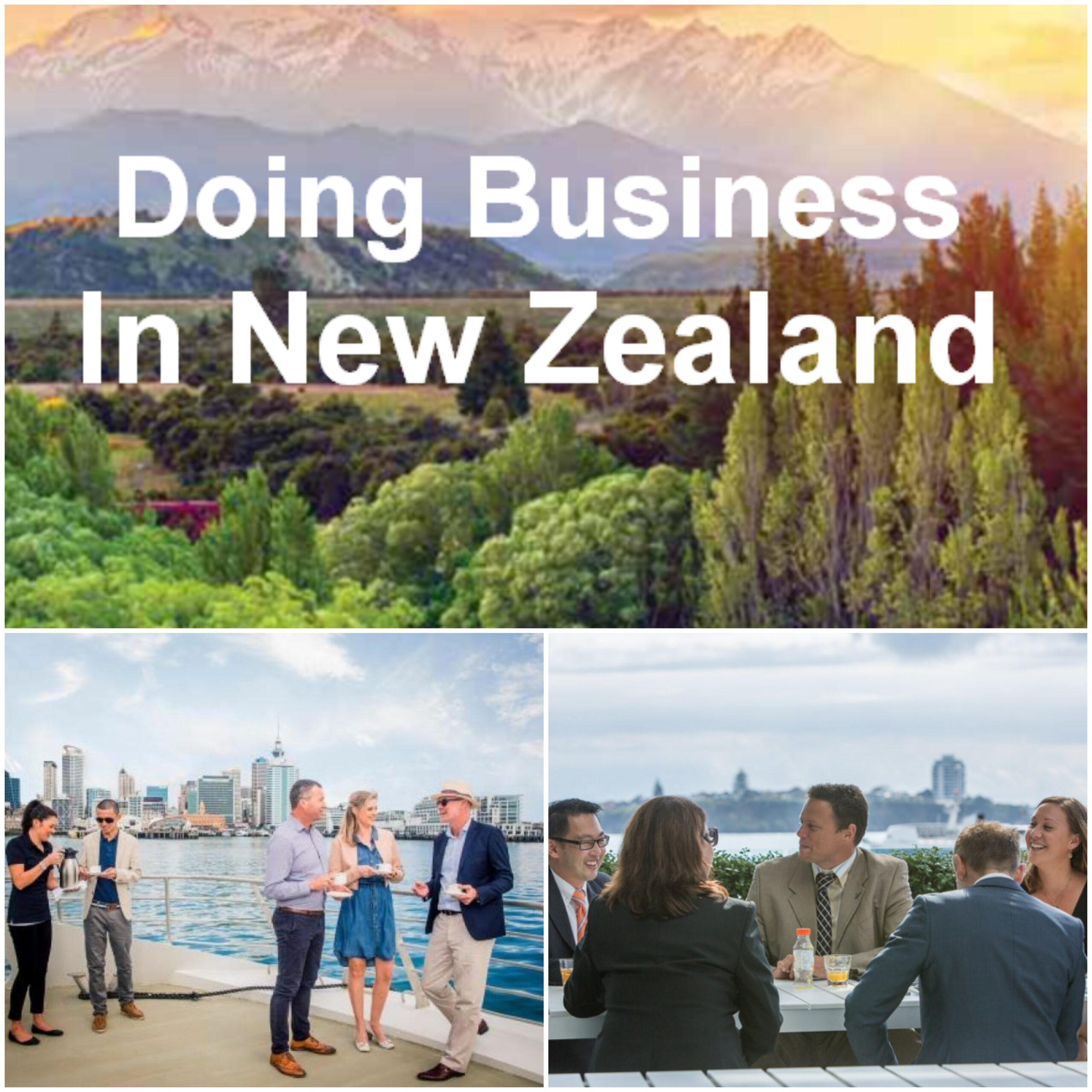 business is best in New Zealand