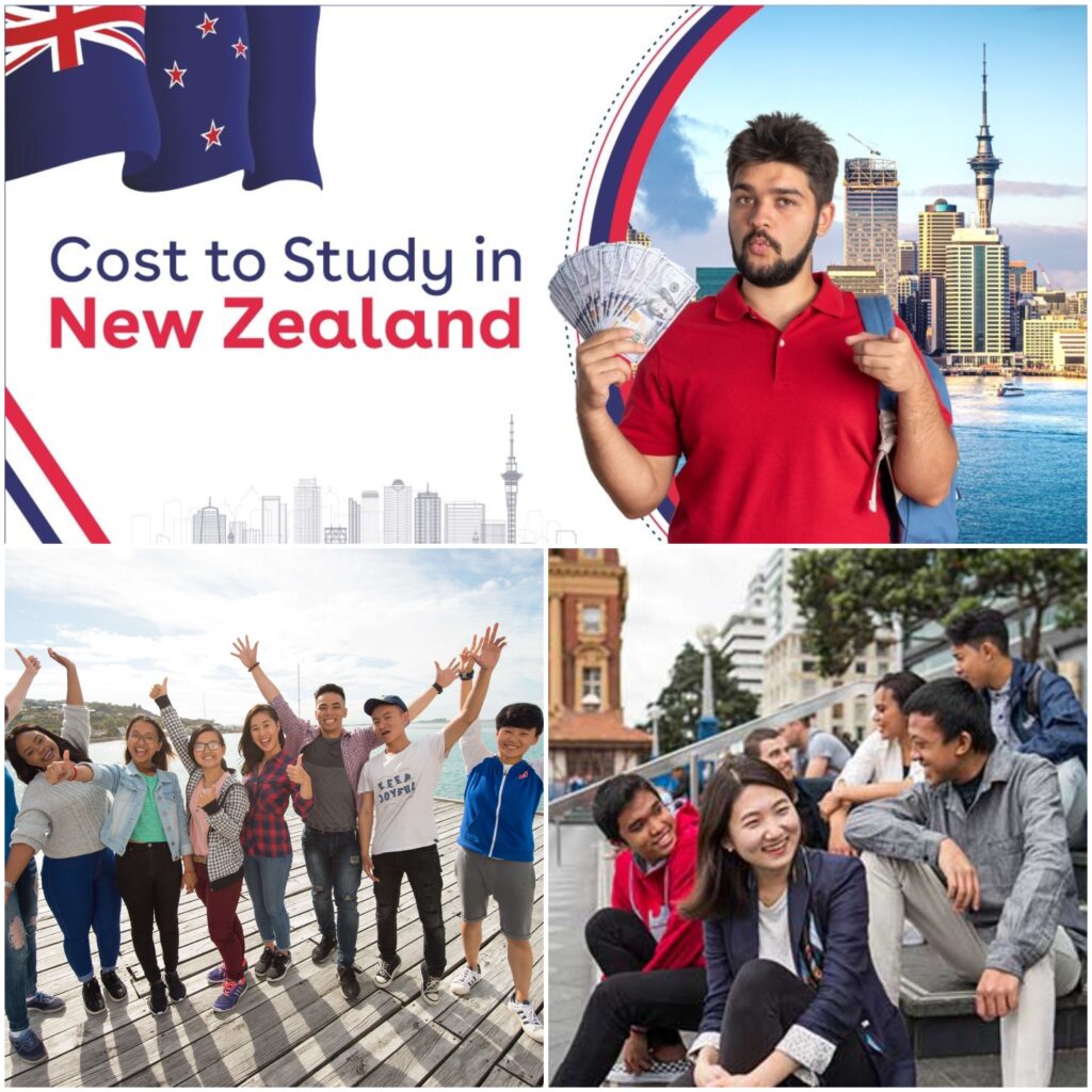 Is New Zealand Cheap to Study for International Students?