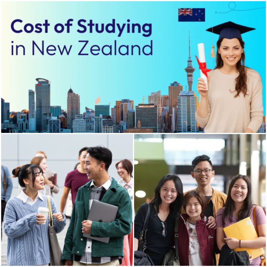 cheap to study for international students