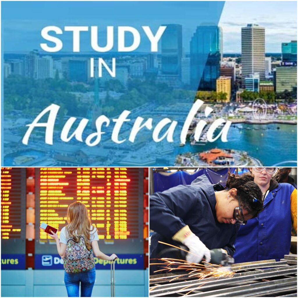 cheapest course to study in Australia