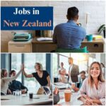 Which city has the most job opportunities in New Zealand?