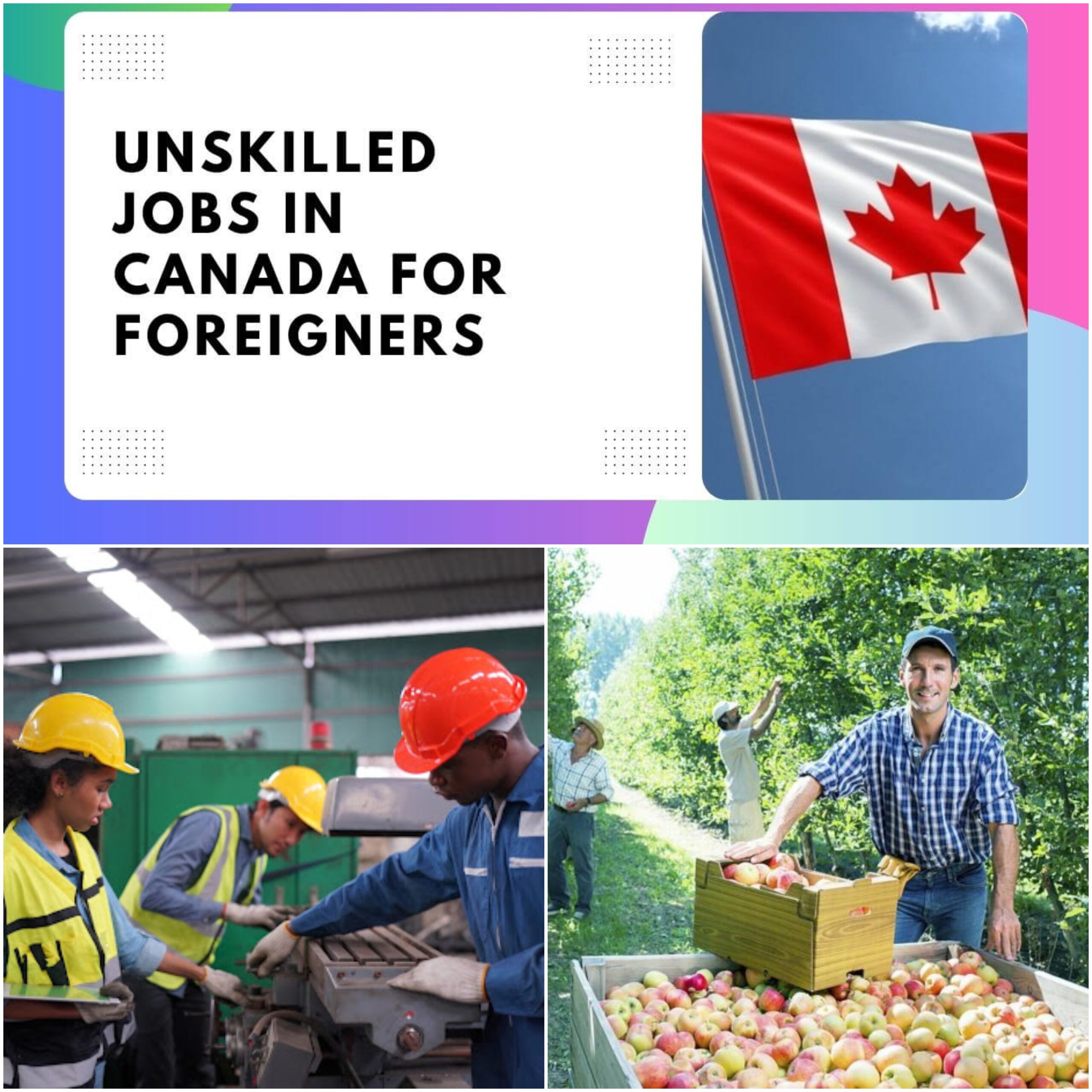 How to Get an Unskilled Job in Canada?