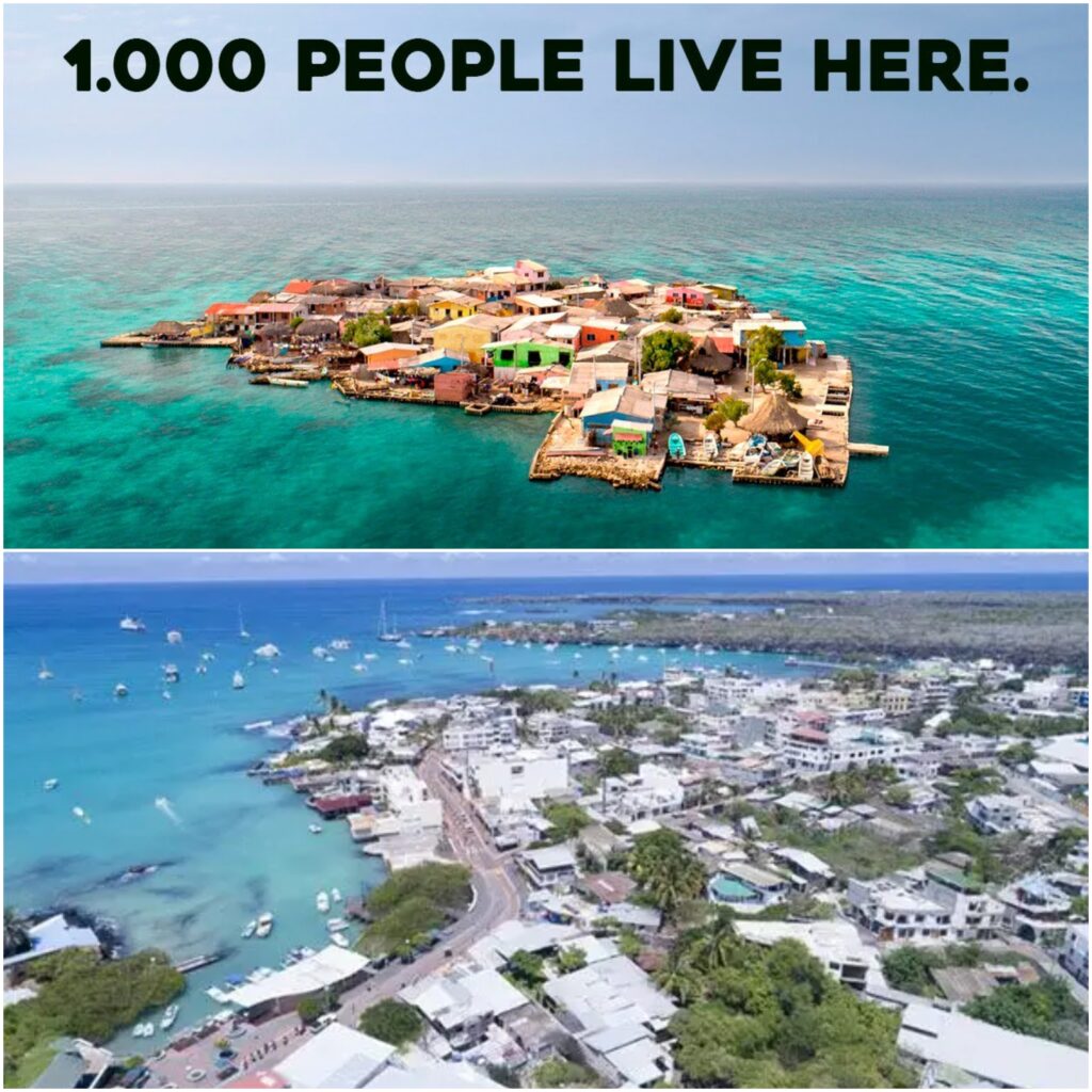 lifestyle of people living in islands