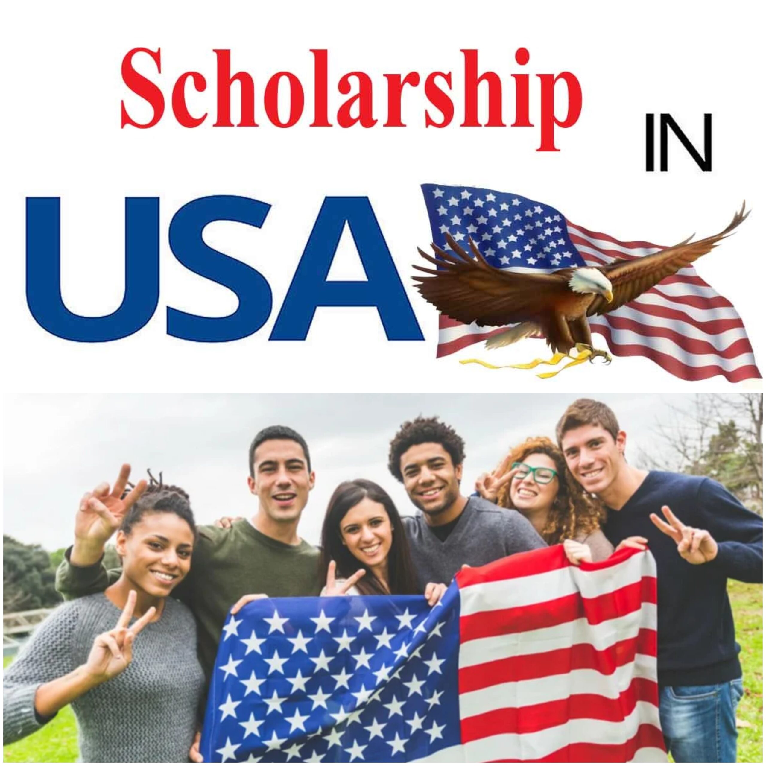 Which Intake is Best for Scholarship in USA?