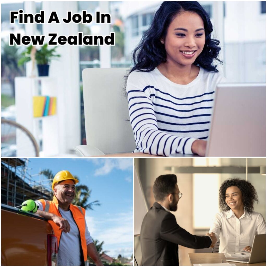 best month to apply for a job in New Zealand