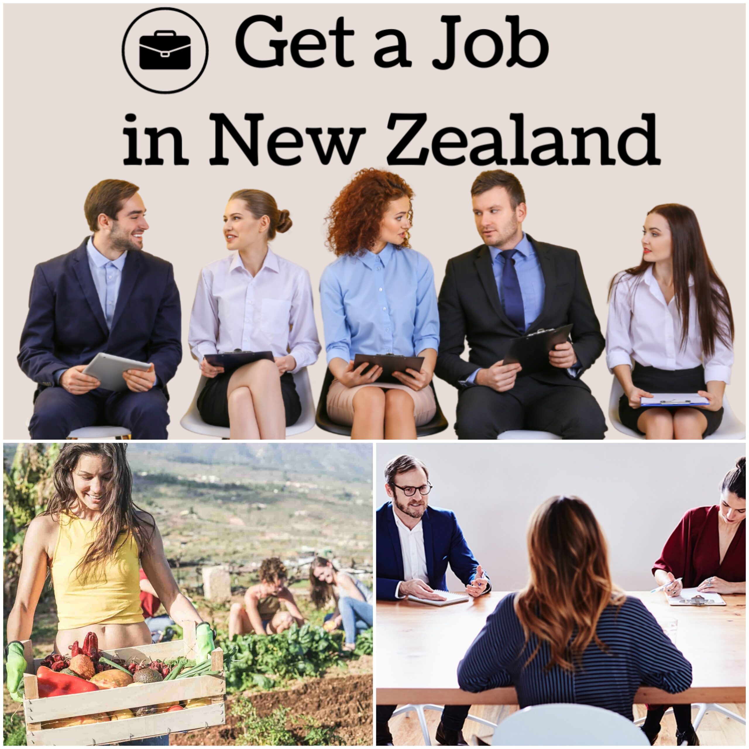 What is the Best Month to Apply for a Job in New Zealand?