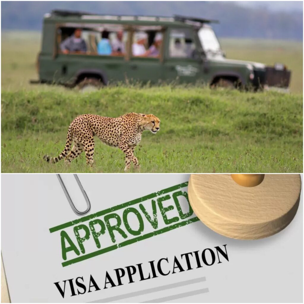 How to Apply for a Visa for a Wildlife Safari Adventure?