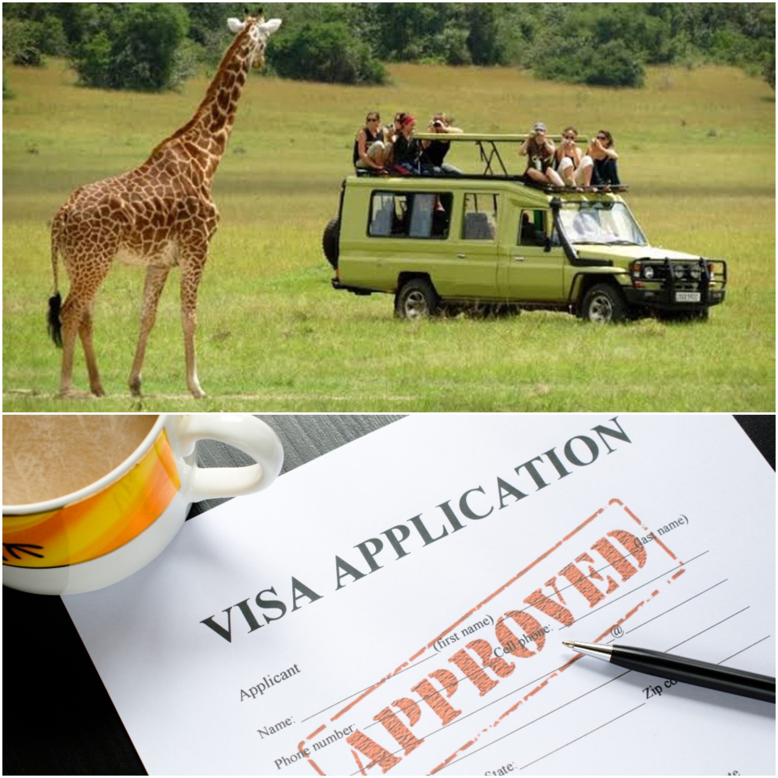 Visa for a Wildlife Safari Adventure