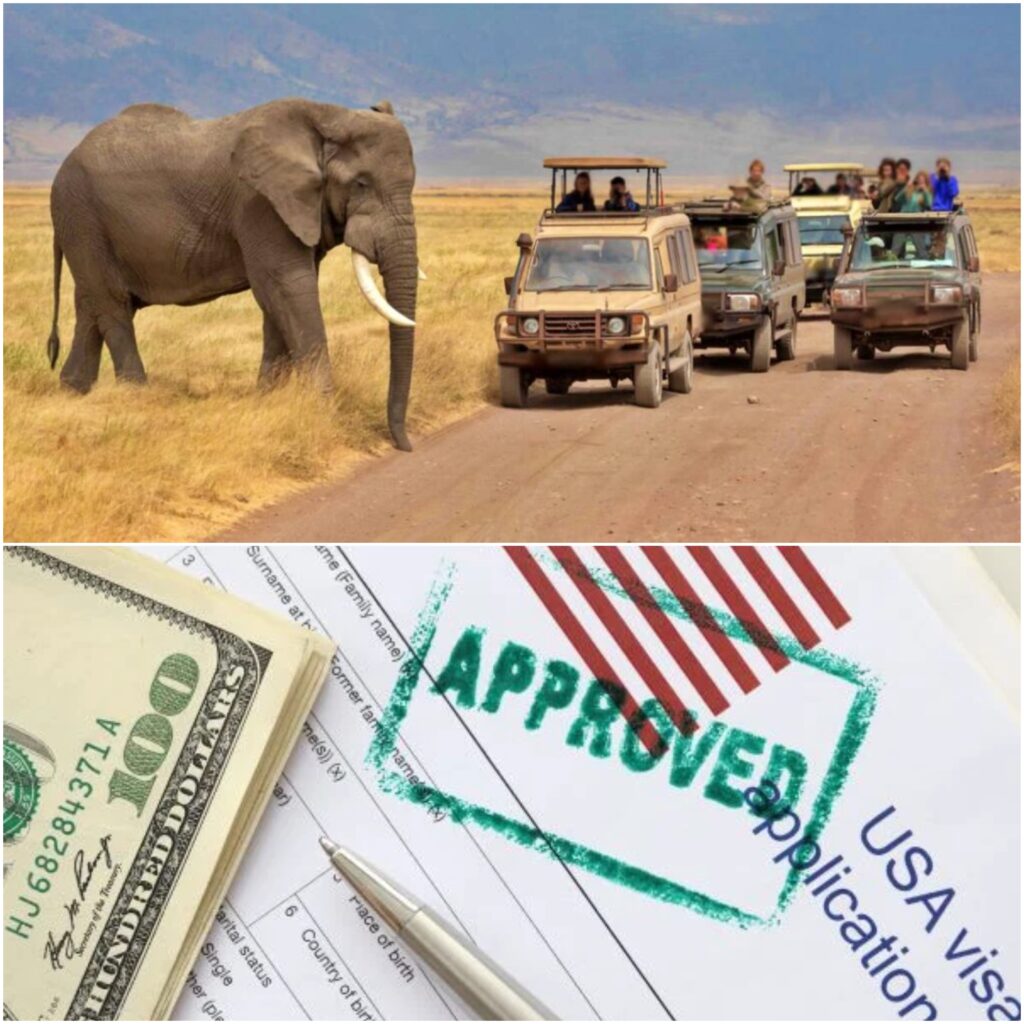 Visa for a Wildlife Safari Adventure