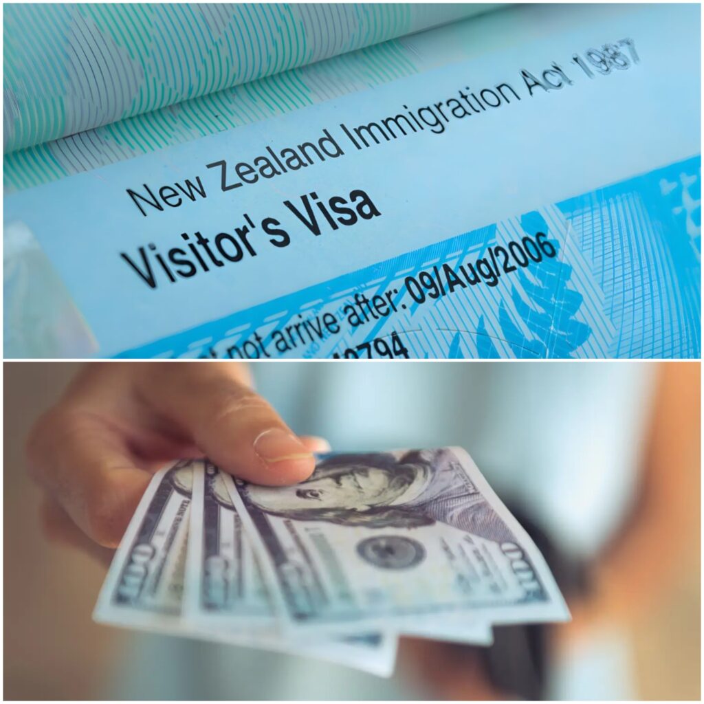 a New Zealand Visa