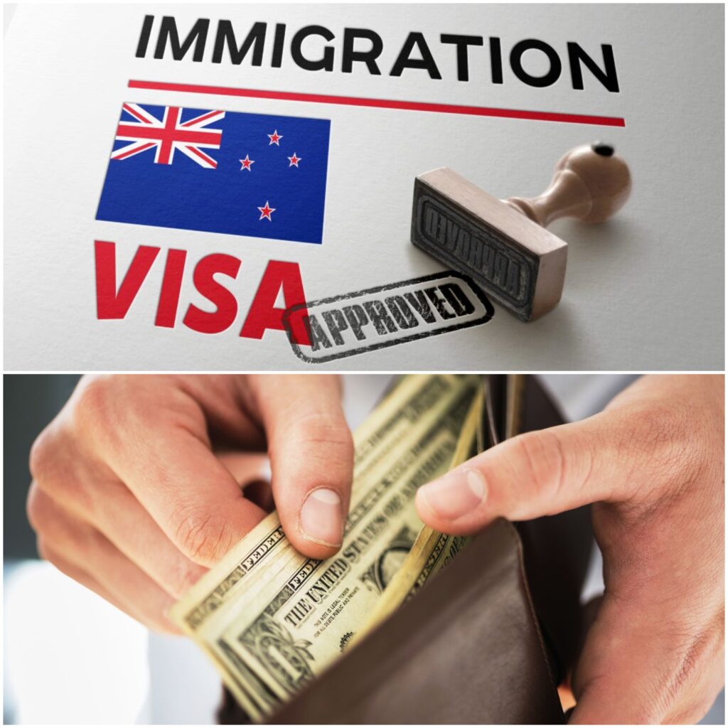 a New Zealand Visa