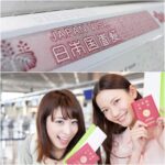 Do You Need a Visa from Vietnam for Japan?