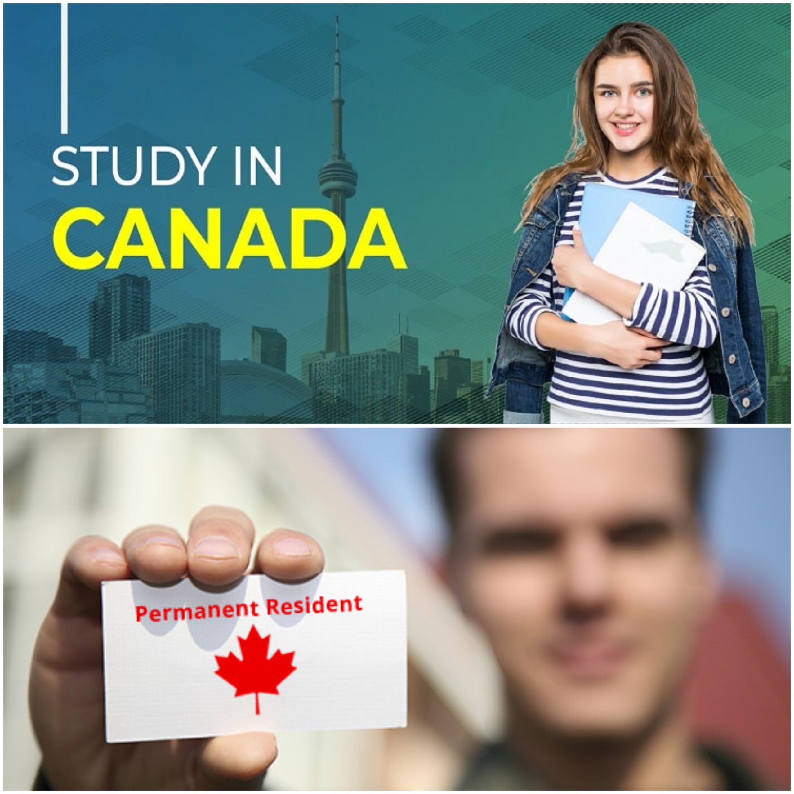 Which Study is Best for Canada PR?