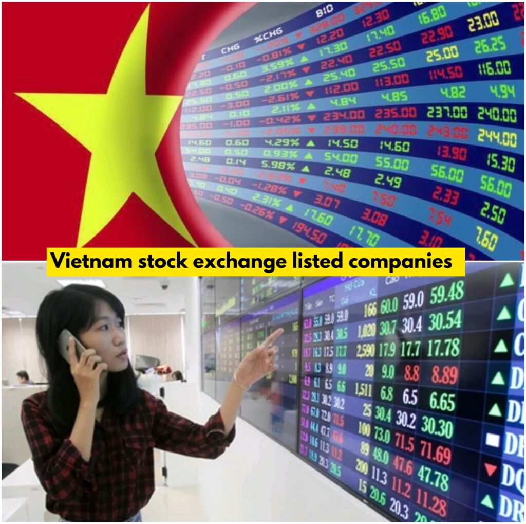 Vietnam stock exchange listed companies