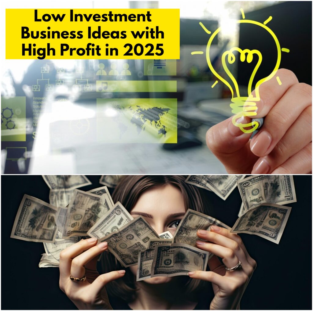 Low Cost Business Ideas with High Profit 