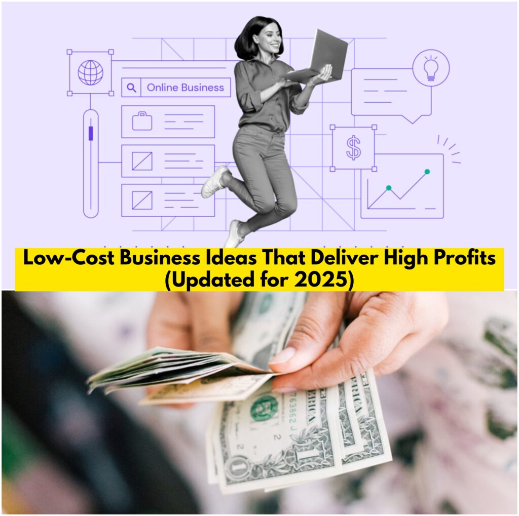 Low Cost Business Ideas with High Profit 