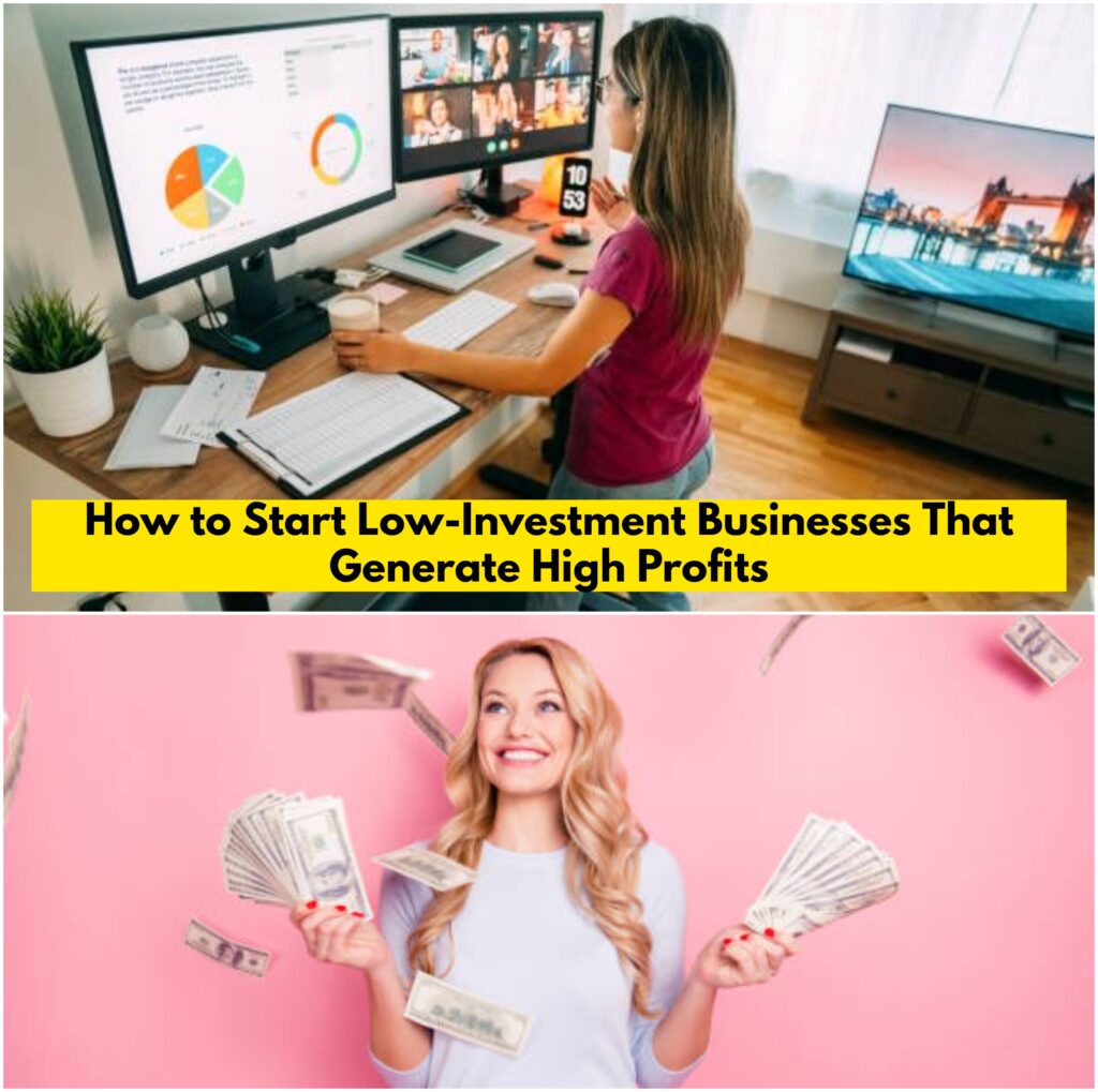 Low Cost Business Ideas with High Profit 