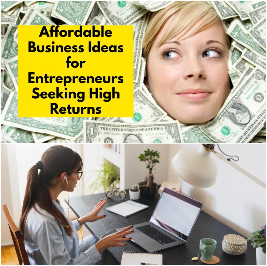 Low Cost Business Ideas with High Profit 2025