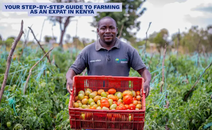How to Start a Farming Business in Kenya as an Expat