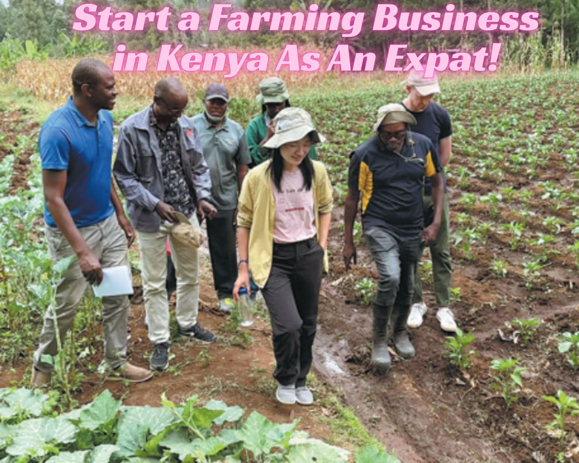 How to Start a Farming Business in Kenya as an Expat
